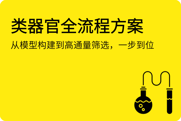 类器官全流程方案